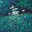 LUSH - Gouache Series. Un progetto di Belle arti, Illustrazione tradizionale, Pittura, Design, Illustrazione naturalistica, Pittura gouache e Creatività di Maddy Bellwoar - 25.04.2022