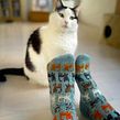 Herding Cats socks. Un progetto di Artigianato, Maglia e Design di accessori di Stone Knits - 27.04.2023