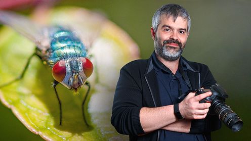 Einführung in die Makrofotografie