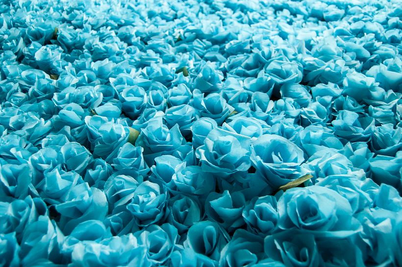 3000 Sant Jordi Folded Flowers 0